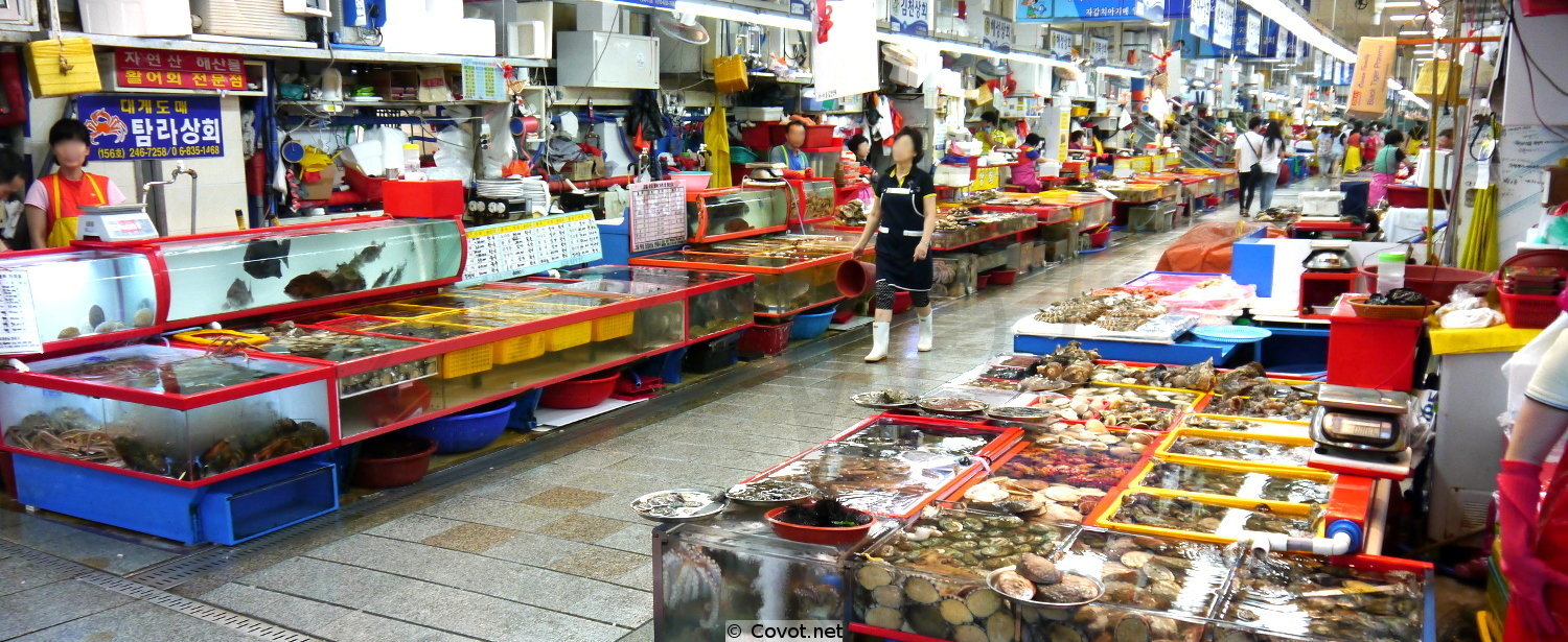 Koreanischer Fischmarkt